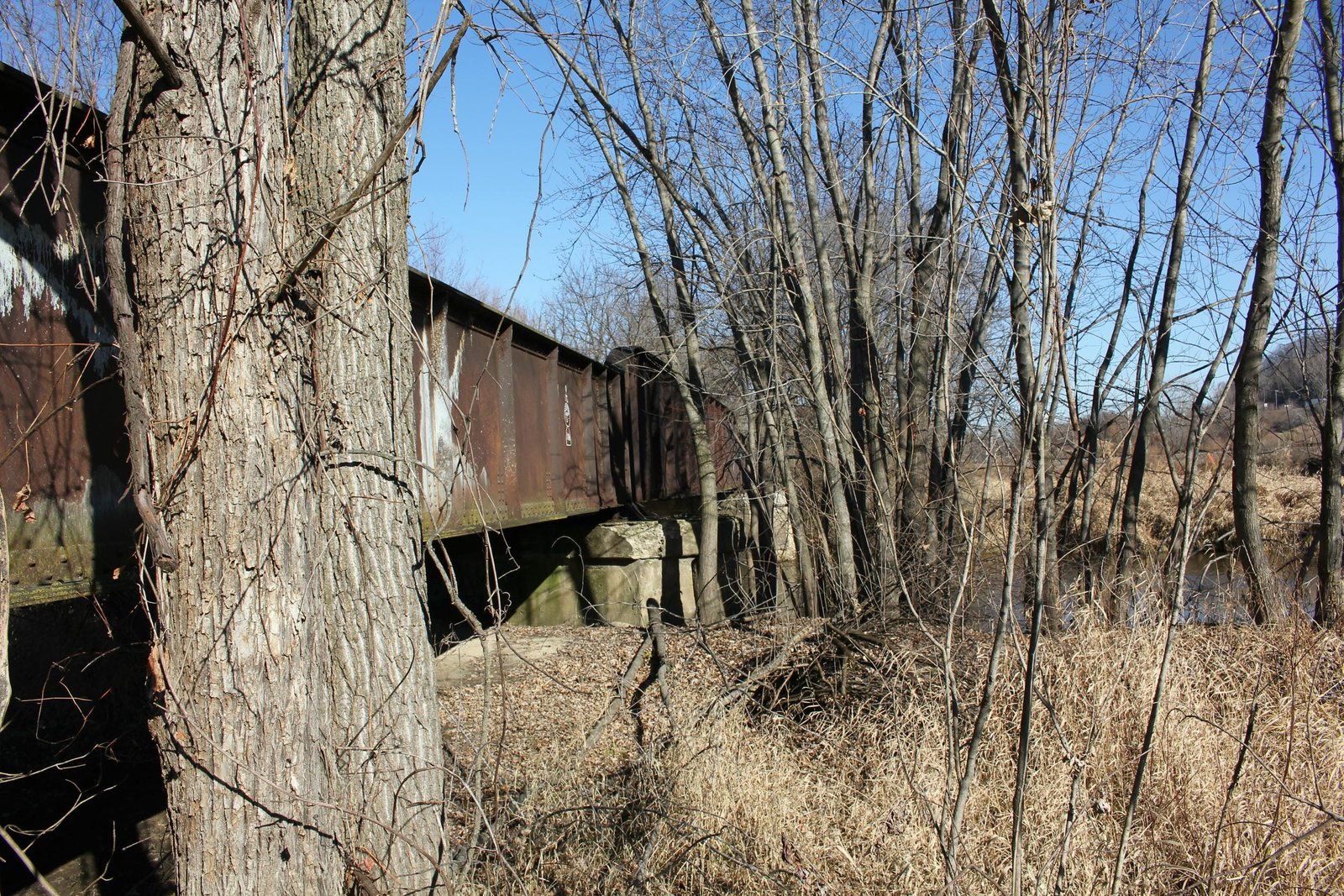 Looking east